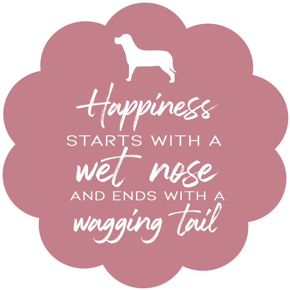 Dog Quote