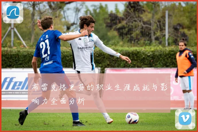 布雷克格里芬的职业生涯成就与影响力全面分析