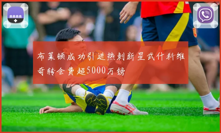 布莱顿成功引进热刺新星武什科维奇转会费超5000万镑