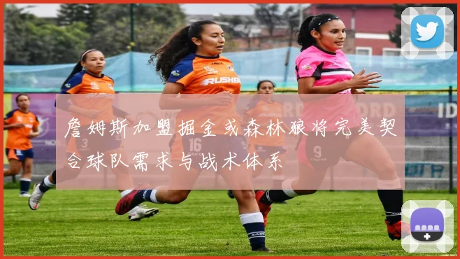 詹姆斯加盟掘金或森林狼将完美契合球队需求与战术体系